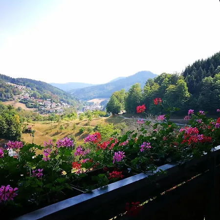 菲尔霍夫布鲁汤尼度假屋 度假居